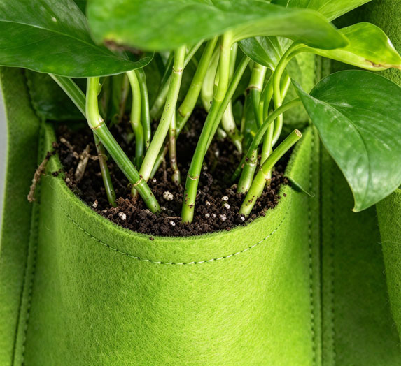 Verticl planting bag